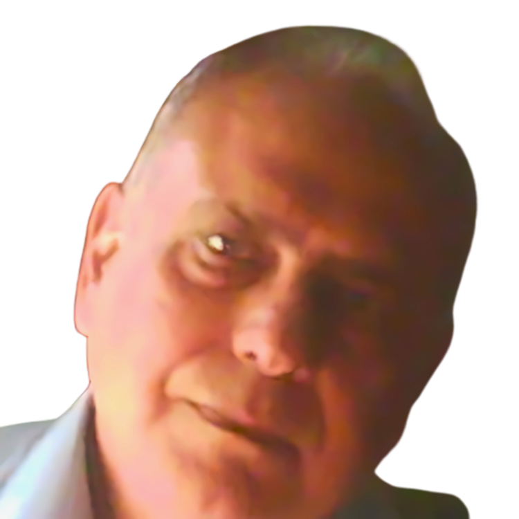 Ioannis Stamelos